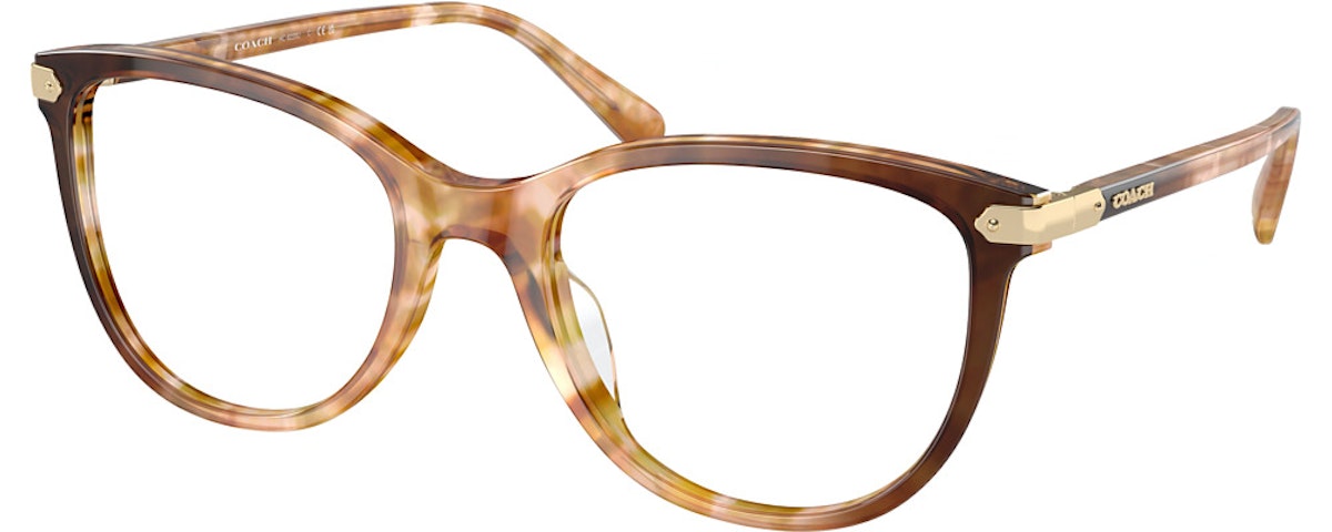 CARAMEL SNOW TORTOISE GR