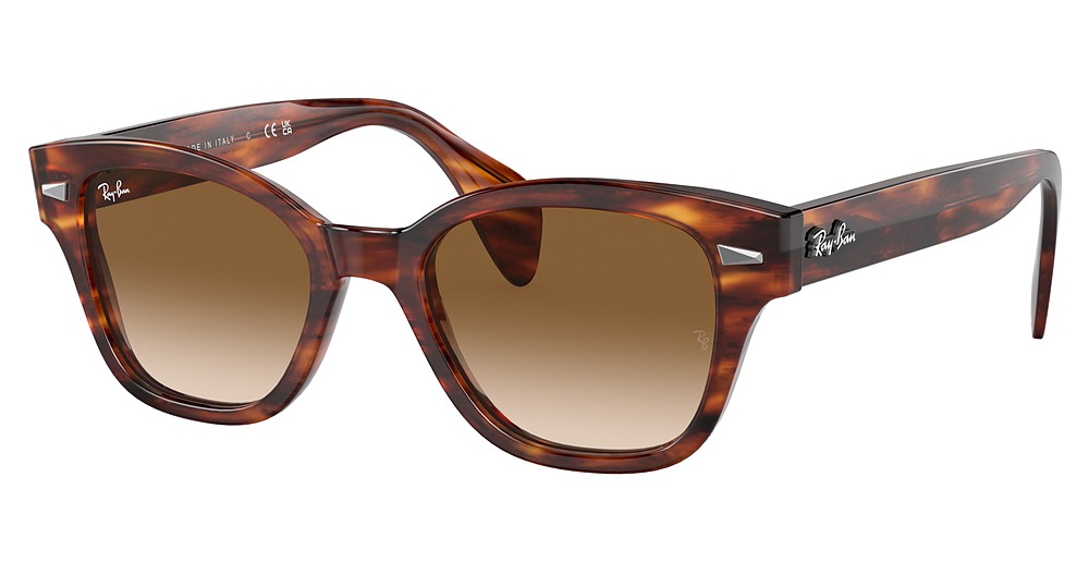 STRIPED HAVANA / CLEAR GRADIENT BROWN