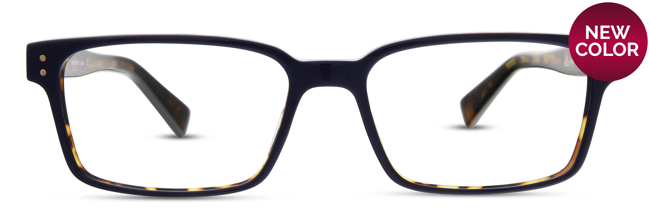 Black Navy Tortoise