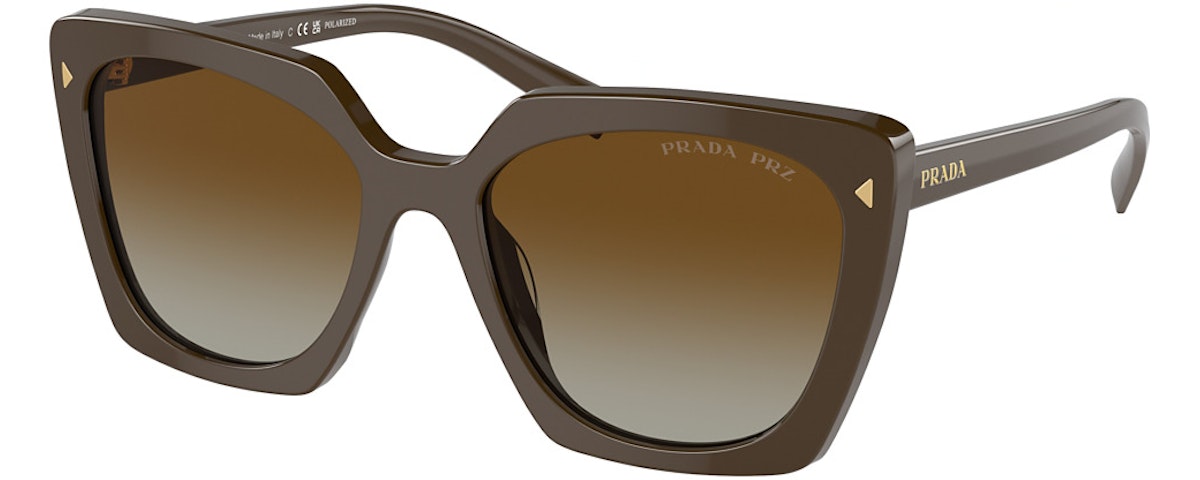 LODEN / POLAR BROWN GRADIENT