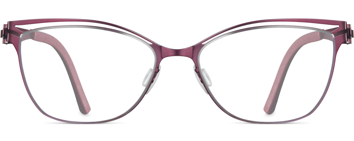 Boysenberry 47
