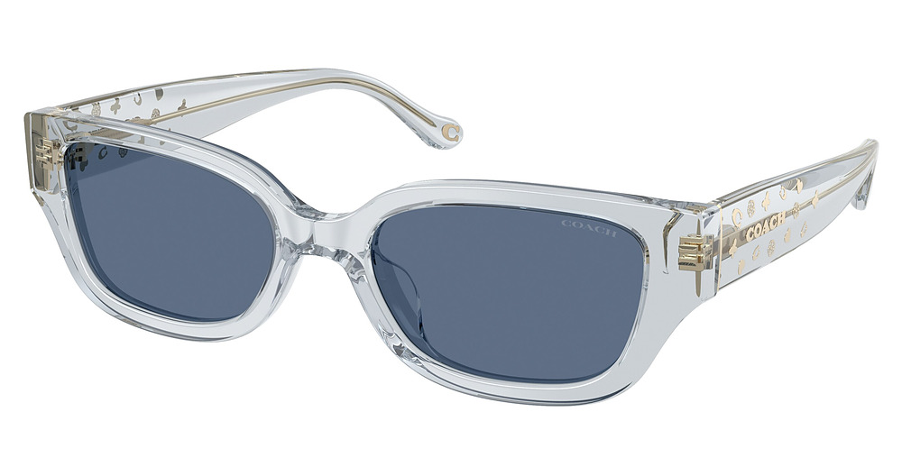 TRANSPARENT LIGHT BLUE / BLUE SOLID