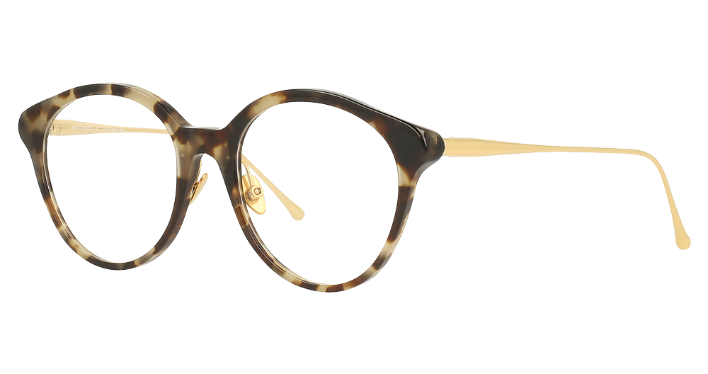 Tokyo Tortoise with Gold temples