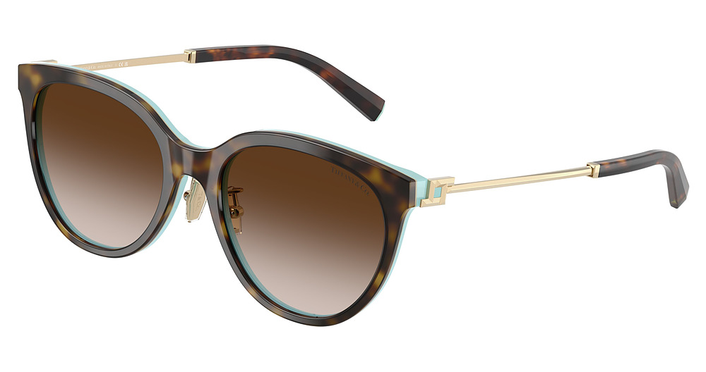 HAVANA ON TIFFANY BLUE / BROWN GRADIENT