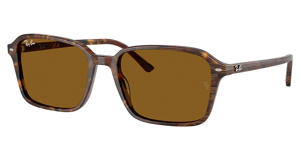 Ray-Ban RB2231 RAIMOND sunglasses in Transparent Fantasy Brow/Brown