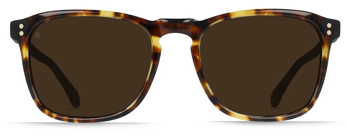 Tokyo Tortoise / Bronze Polarized