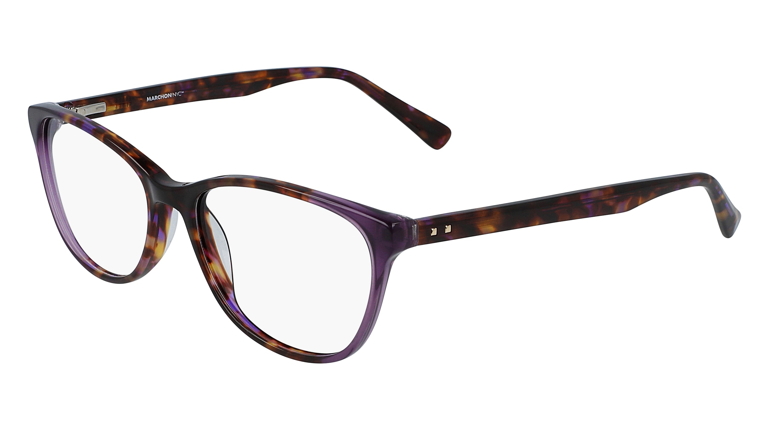 PURPLE TORTOISE