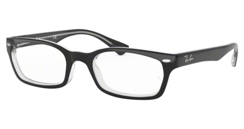 Ray-Ban RX5150 round eyeglasses in Black on Transparent