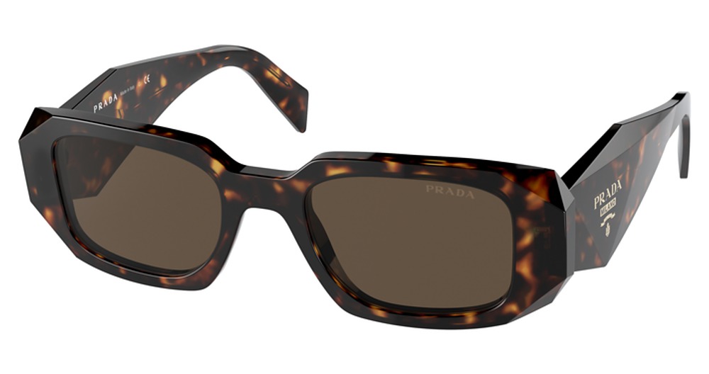 TORTOISE / BROWN