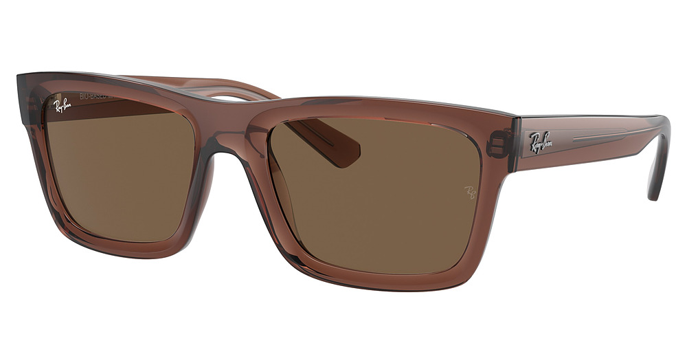 Ray-Ban RB4396F WARREN rectangle sunglasses in Transparent Brown/Dark Brown