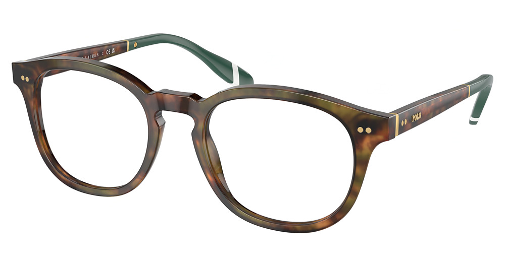 SHINY BROWN TORTOISE