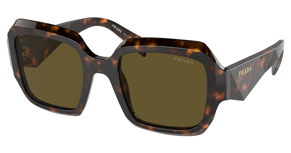 HONEY TORTOISE / DARK BROWN