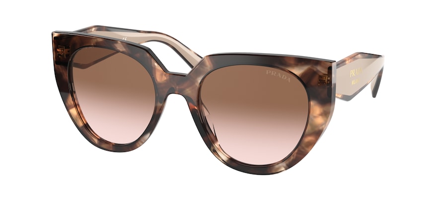 CARAMEL TORTOISE/POWDER
