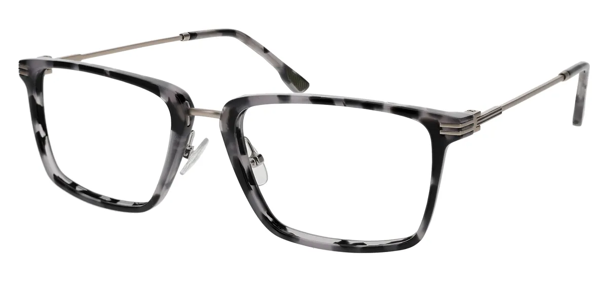 BLACK TORTOISE