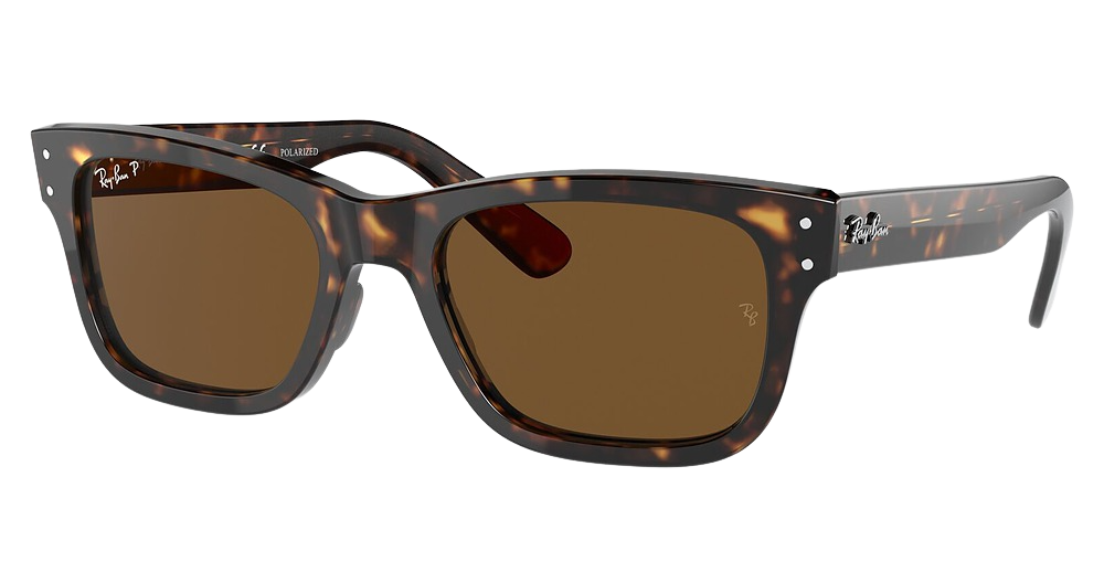 Ray-Ban RB2283 MR BURBANK round sunglasses in Havana/Polarized Brown