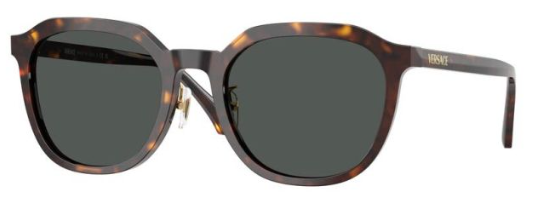 DARK HAVANA / DARK GREY