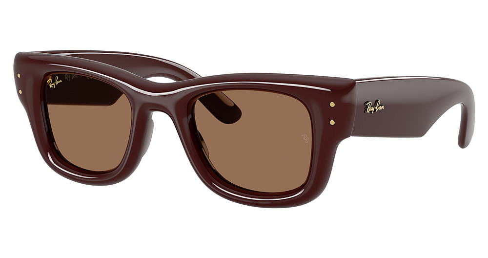 Ray-Ban RB4940 WAYFARER PUFFER square sunglasses in Dark Brown/Dark Brown