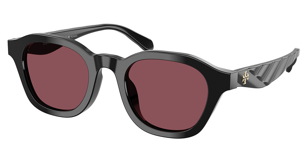 BLACK / DARK VIOLET POLAR