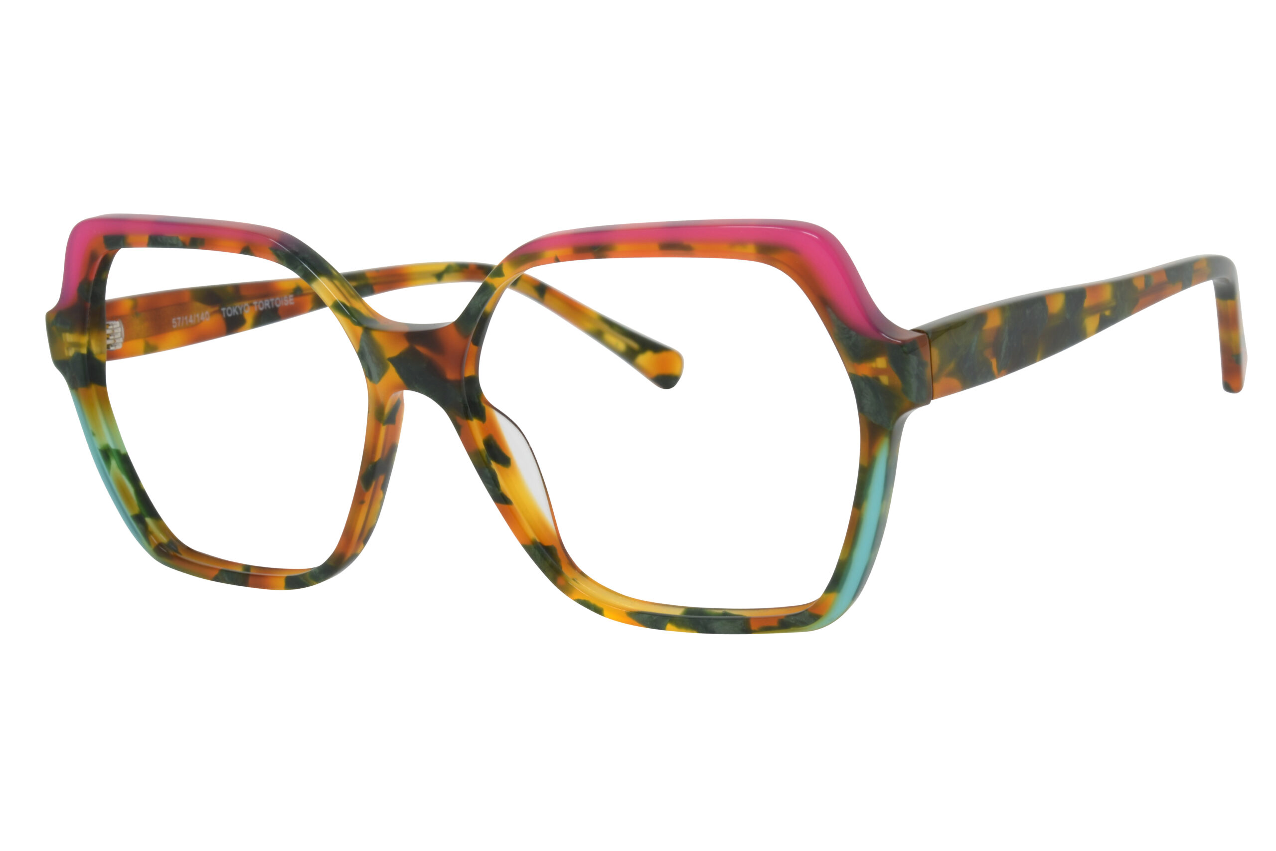 Tokyo Tortoise