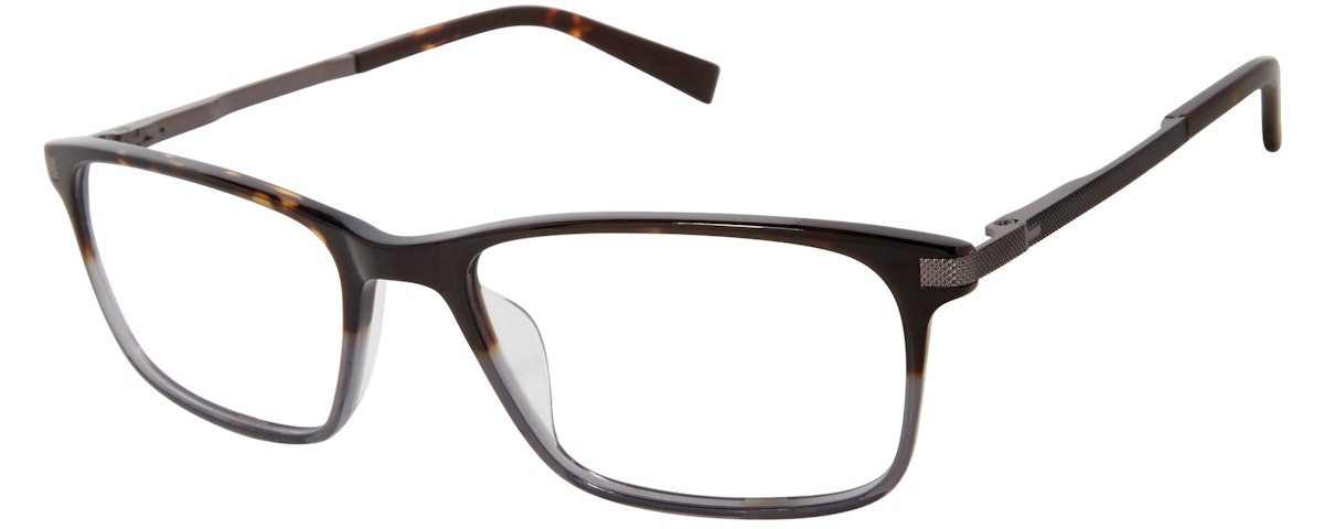 Tortoise Grey