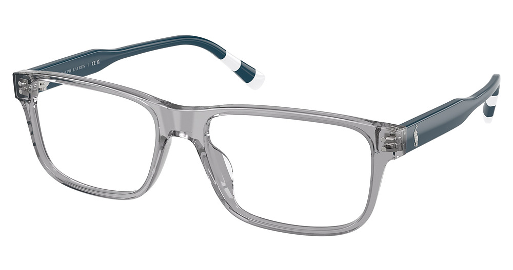 SHINY TRANSPARENT GREY