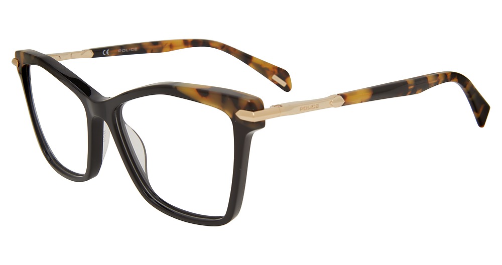 Tortoise 09D6