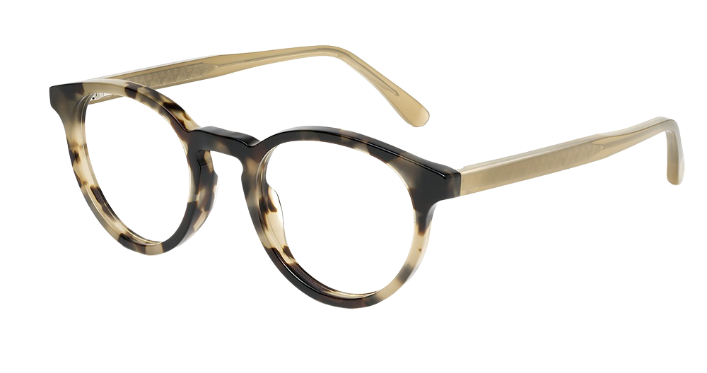 Olive Tokyo Tortoise