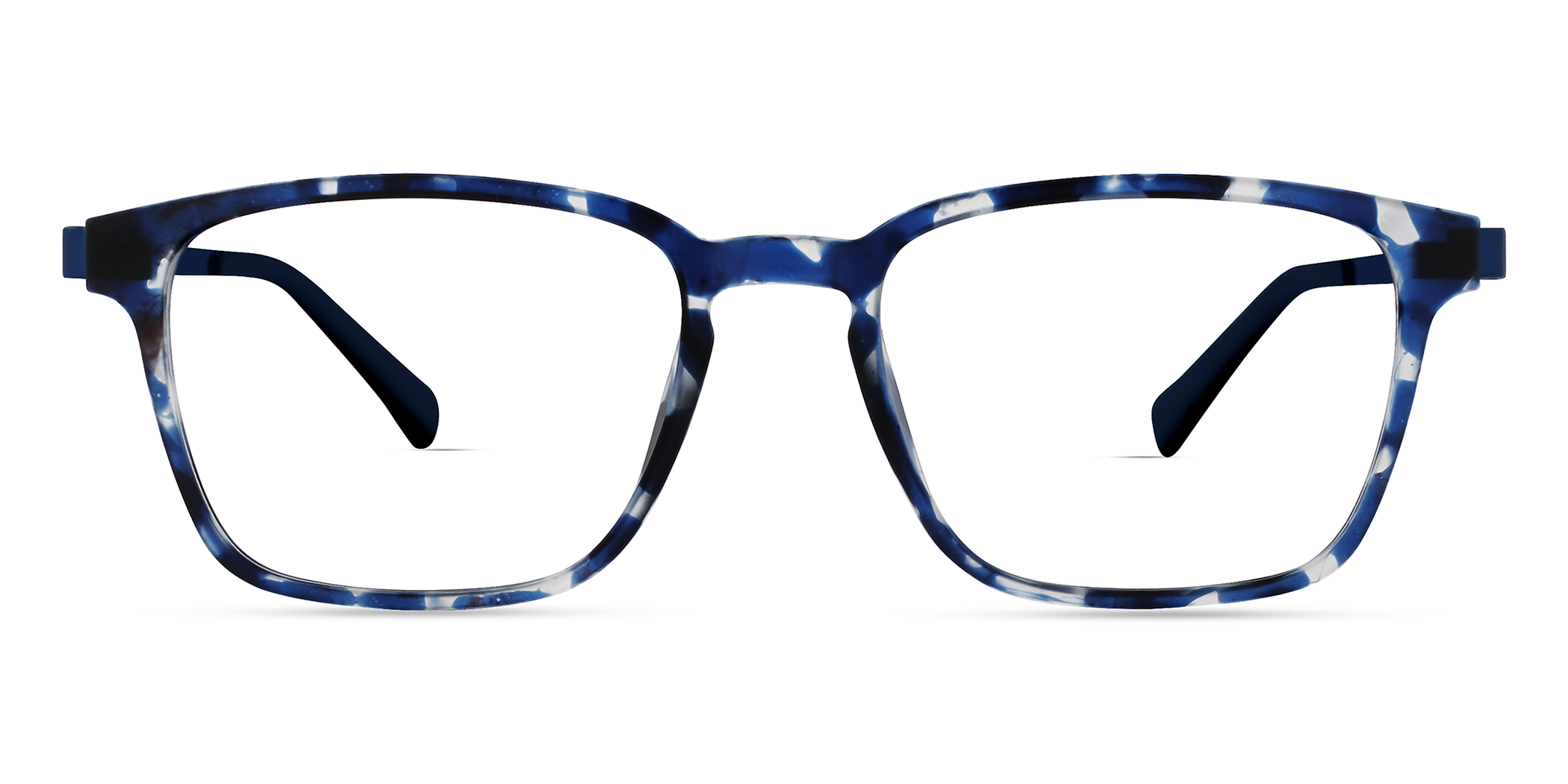 BLUE TORTOISE