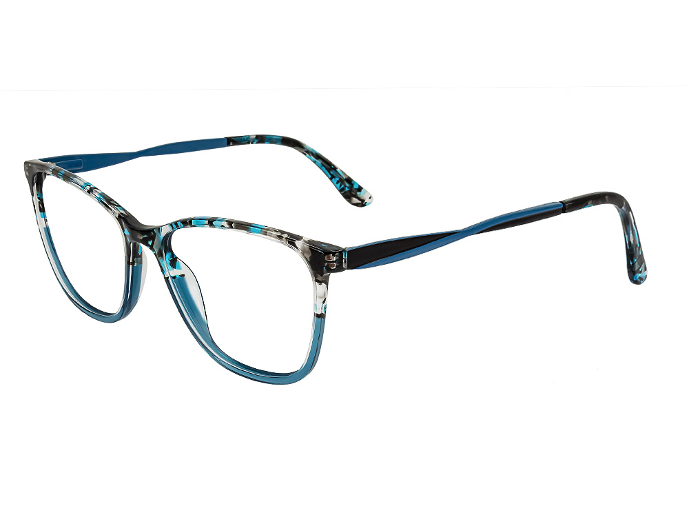 Teal Tortoise