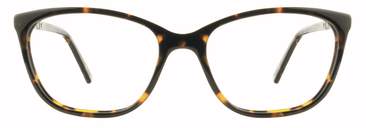 Dark Tortoise