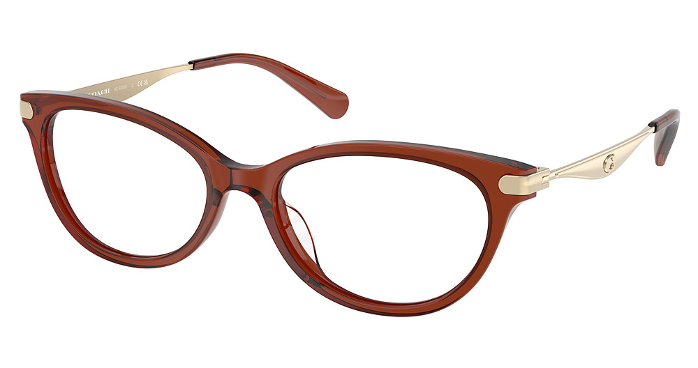 TRANSPARENT BROWN