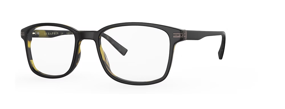 BLACK TORTOISE