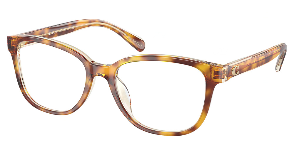 DARK TORTOISE / CANARY
