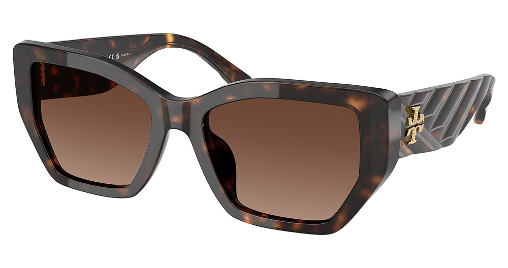 DARK TORTOISE / BROWN GRADIENT POLAR