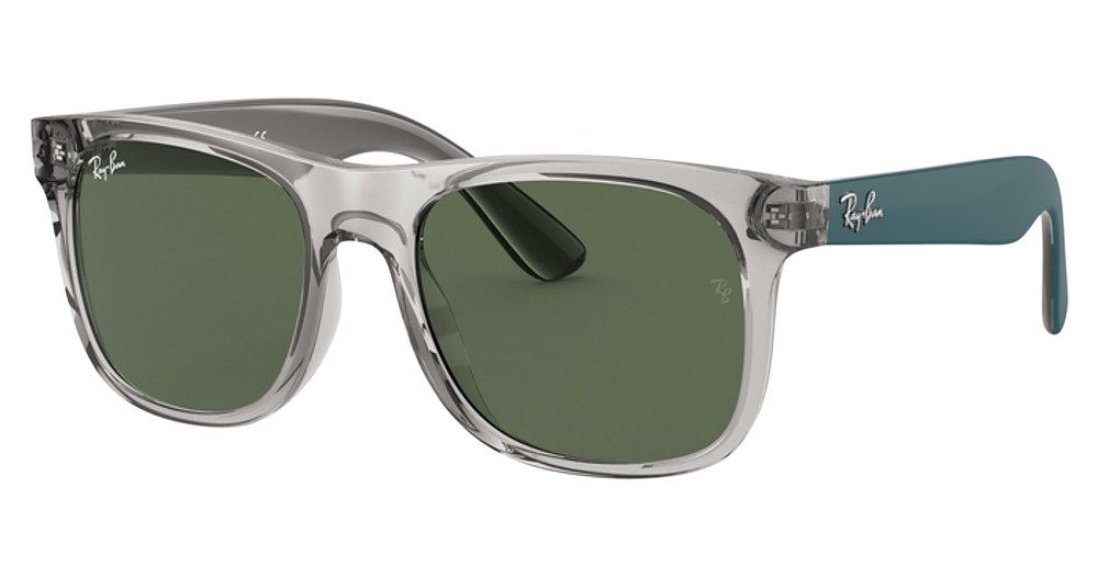 TRANSPARENT GREY / DARK GREEN