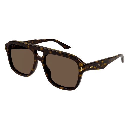 HAVANA-HAVANA-BROWN / BROWN