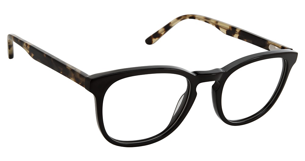 BLACK TORTOISE