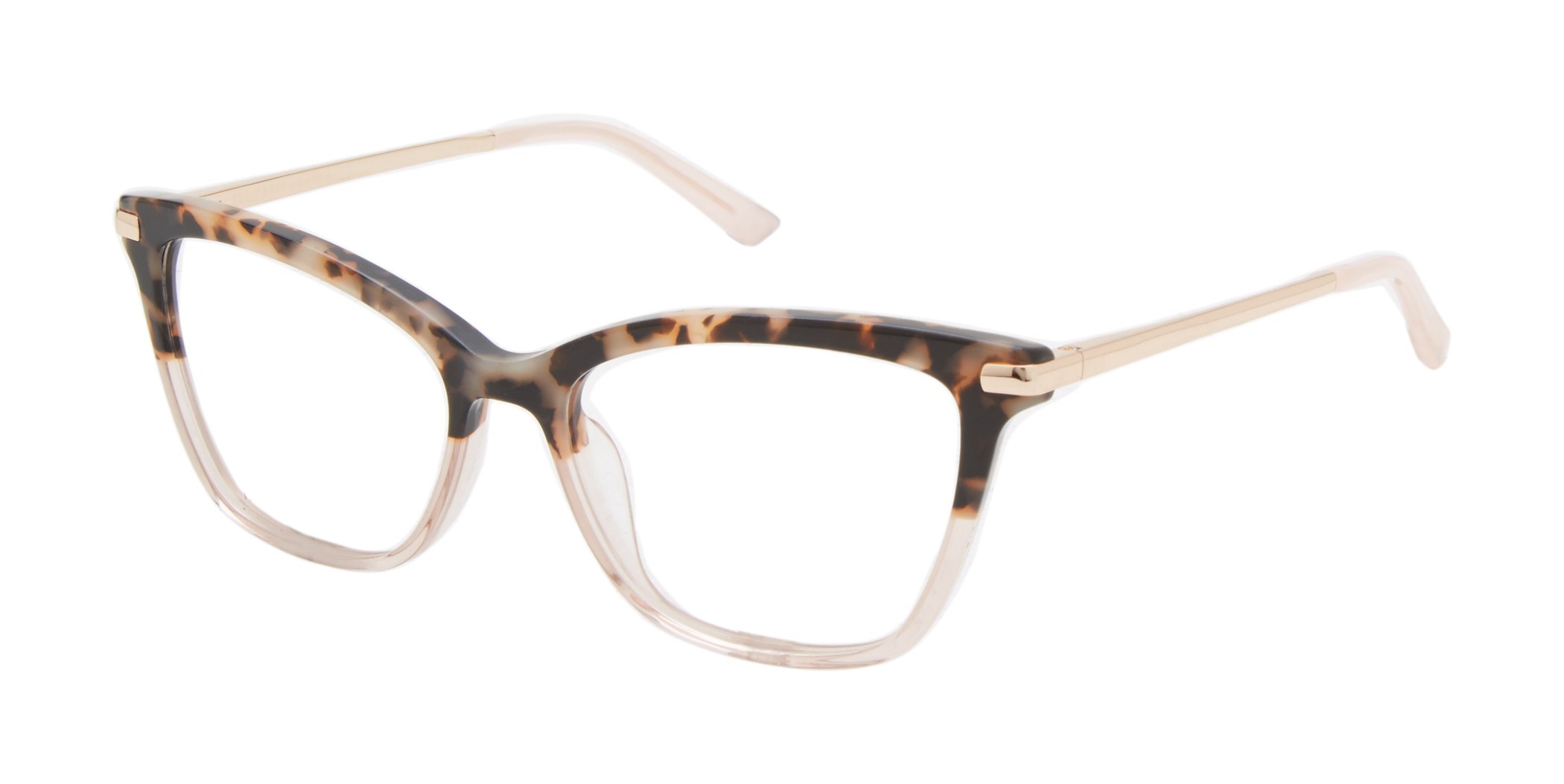 Ivory Tortoise