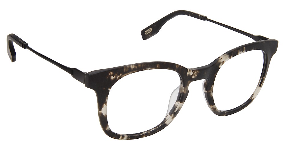 BLACK TORTOISE