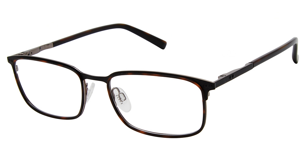 black tortoise