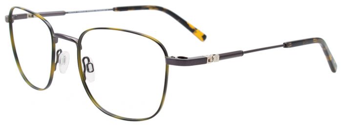 Dark Steel / Tortoise
