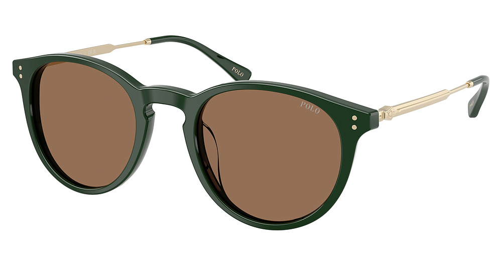 SOLID GREEN / DARK BROWN