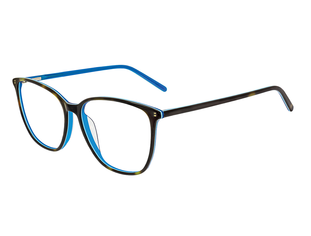 Tortoise/Blue