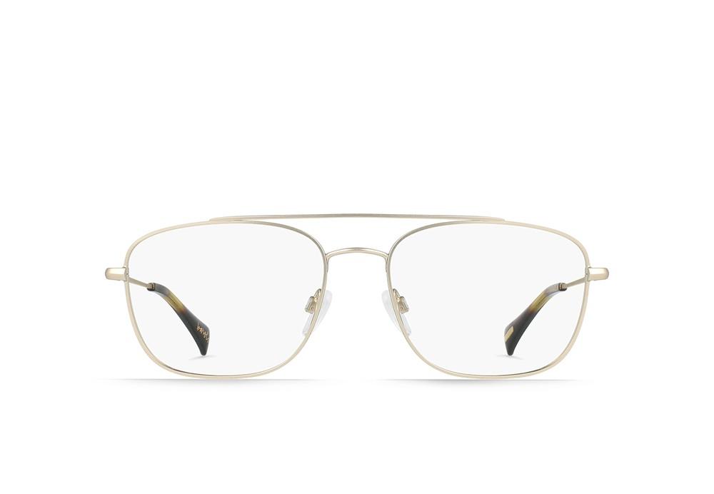 Japanese Gold + Kola Tortoise