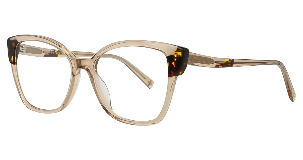 GOLD ANIMAL TORTOISE