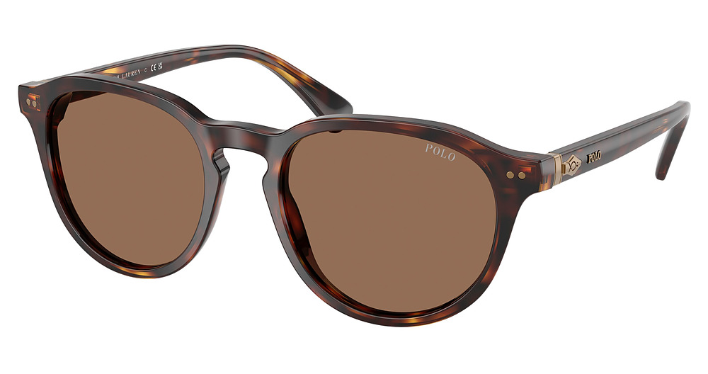 SHINY BROWN TORTOISE / DARK BROWN
