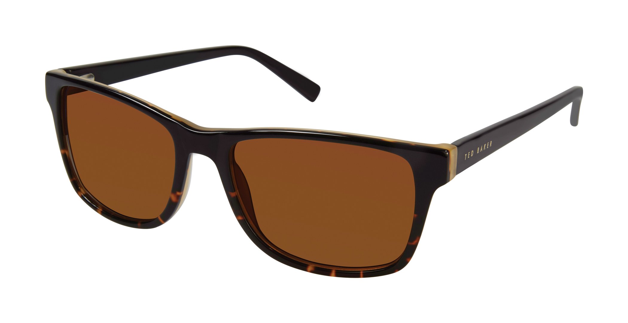 Black Tortoise