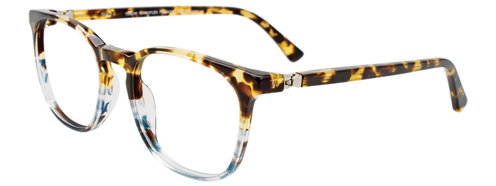 Dark Brown Tortoise