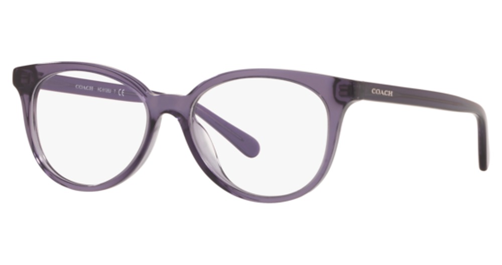 TRANSPARENT PURPLE