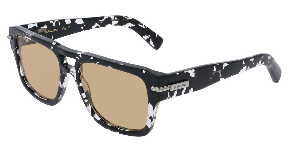BLACK TORTOISE
